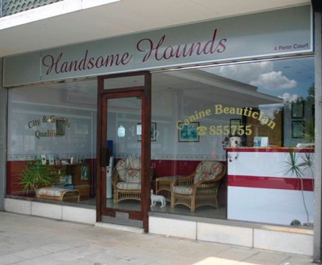 Handsome Hounds Ltd